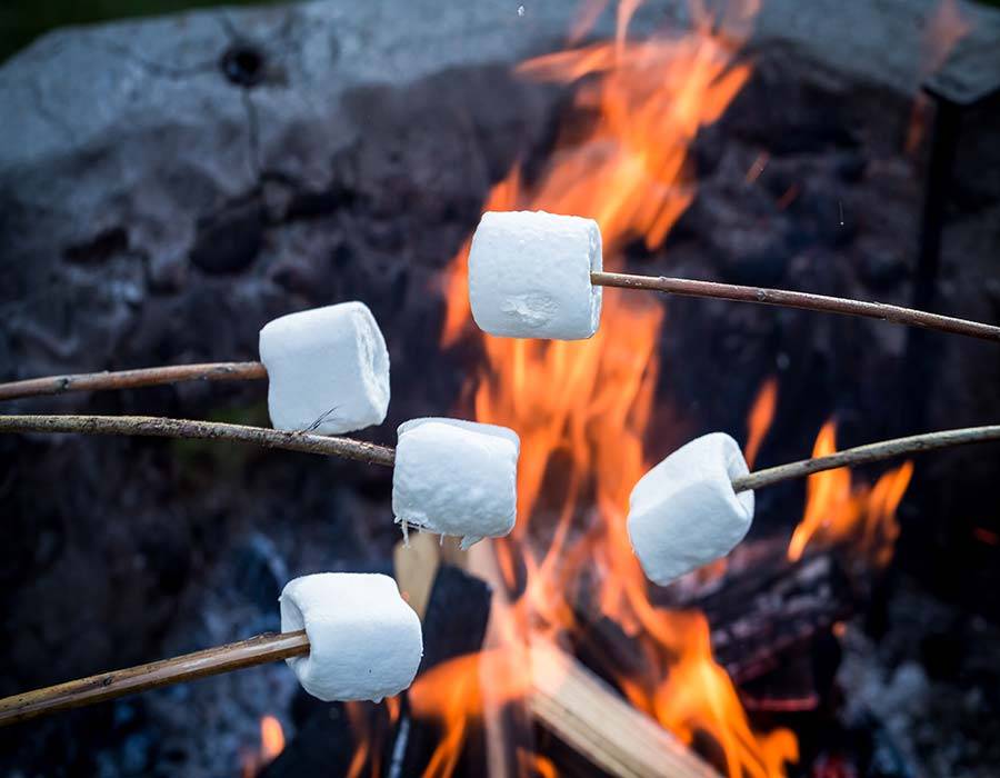 celebrating national marshmallow toasting day august 30th